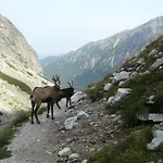 Privat Iva Smokovec Δωμάτια σε οικογενειακή κατοικία