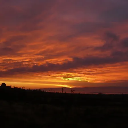 Privat Iva Smokovec *