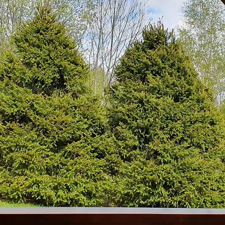 ホームステイ Privat Iva Smokovec