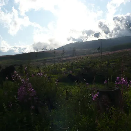 منزل للإقامة Privat Iva Smokovec *