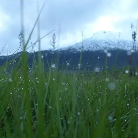 Privat Iva Smokovec * Vysoké Tatry