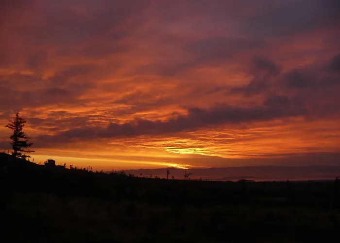 Privat Iva Smokovec *