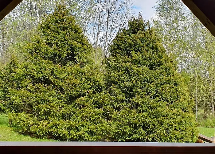 Privat bolig Privat Iva Smokovec