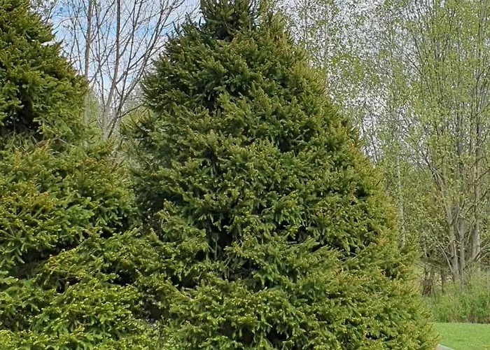 Privat bolig Privat Iva Smokovec *