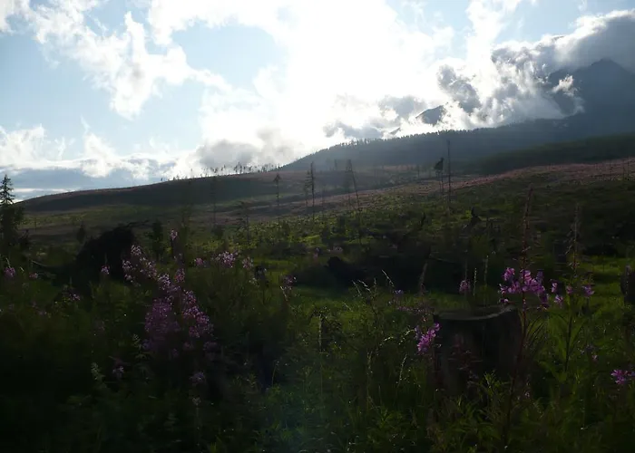 Privat bolig Privat Iva Smokovec *