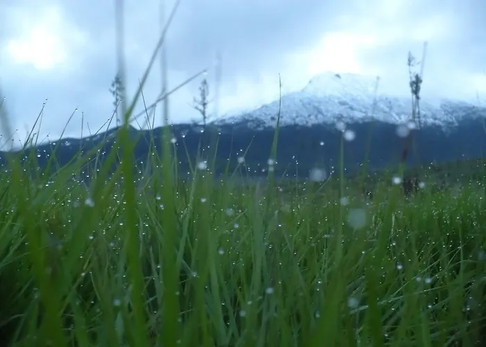 Privat Iva Smokovec * Vysoké Tatry